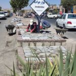 مراحل پایانی پروژه زیباسازی و سنگفرش بلوار(ایلند) جوادیه.